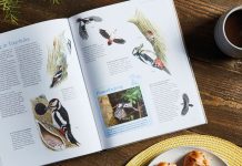 favourite-garden-birds-hardback-book-compeition