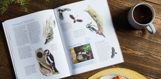 favourite-garden-birds-hardback-book-compeition