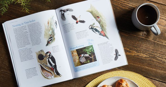 favourite-garden-birds-hardback-book-compeition