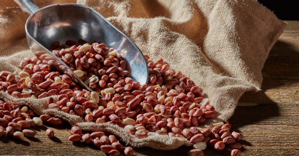 7 things to know about bird peanuts Happy Beaks Blog