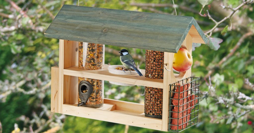 How to attract birds to your feeding station Happy Beaks Blog