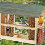 HappyBeaks-Feb19-how-to-attract-birds-prefer-a-flat-table