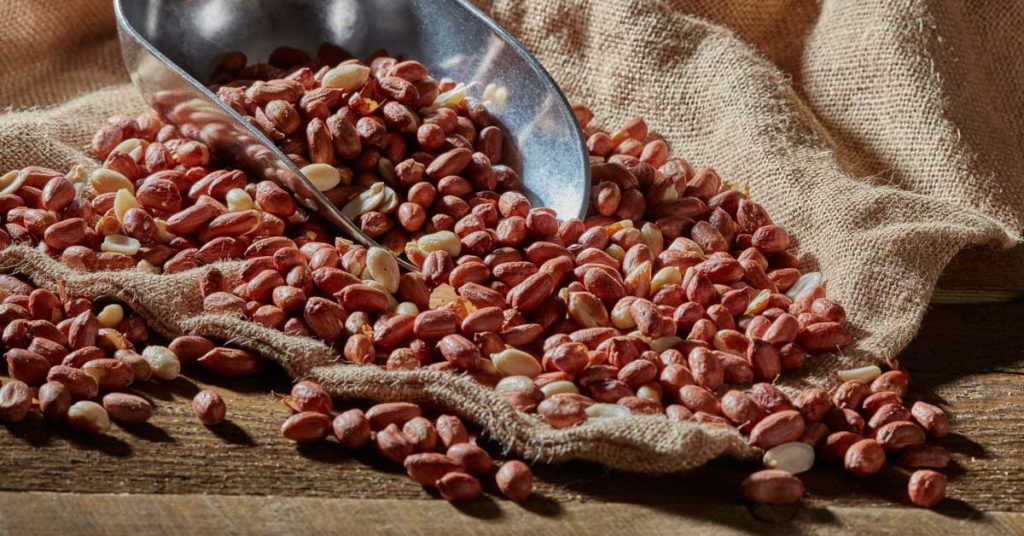 What is aflatoxin? Happy Beaks Blog