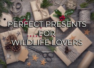 Perfect Presents for Wildlife Lovers