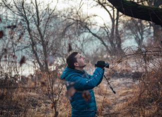 Big Garden Bird Watch – Quick Identification Guide