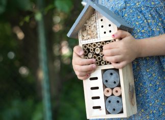 Best blogs for outdoor family fun Green Schooling Rasstock Shutterstock