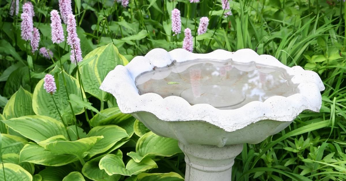 how to install a bird bath