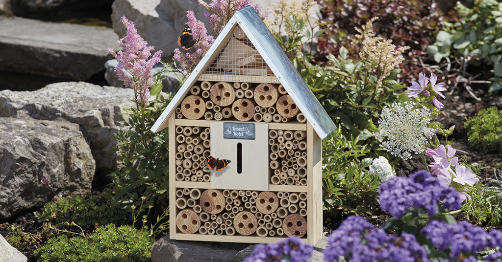 Insects To Encourage In Your Garden - Happy Beaks Blog