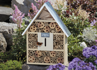 Insects To Encourage In Your Garden