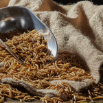 Guide to mealworms