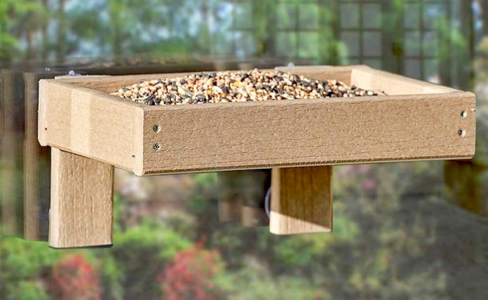 Guide to window bird feeders - Happy Beaks Blog