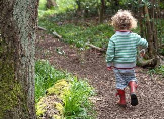 Wildlife spotting tips for kids