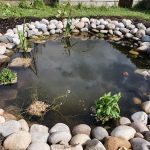 wildlife-pond-surrounded-by-stones