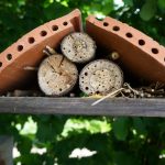 insect-hotel-on-log