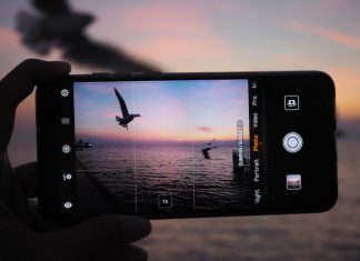 Birdy Instagrammers we love Bird photography on phone