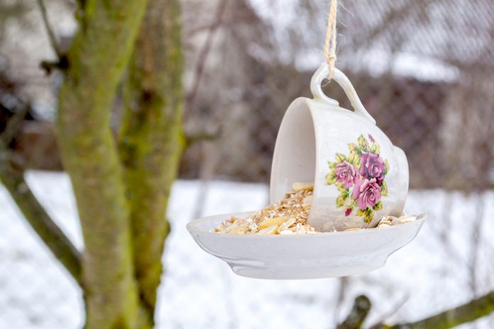 Vintage teacup repurposed as bird feeder