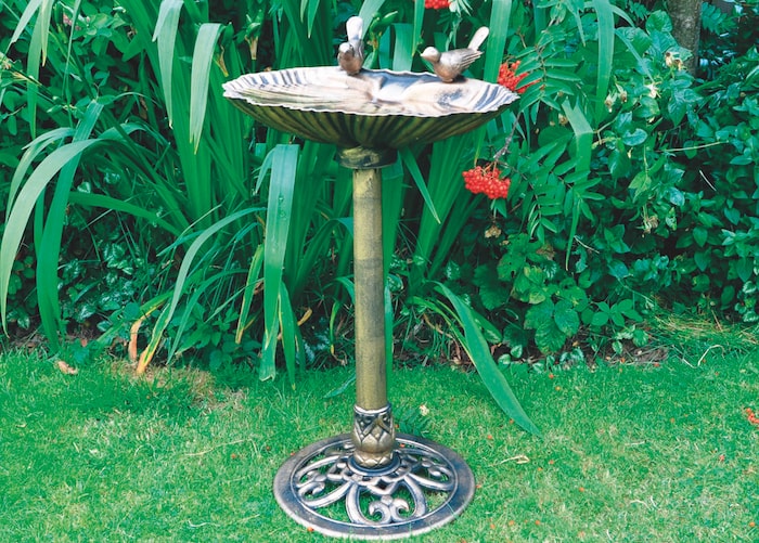 Bronze pedestal bird bath