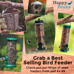 Happy Beaks Bird Feeders widget image