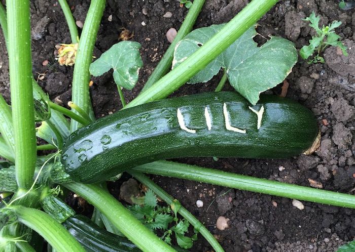 Carved courgettes with name 'Lily'