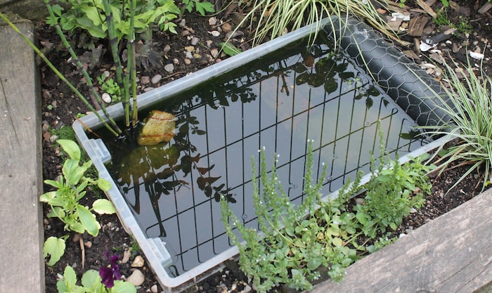 Homemade wildlife pond container ground