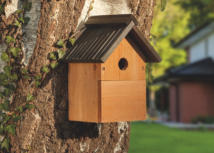 Wooden bird hotel 