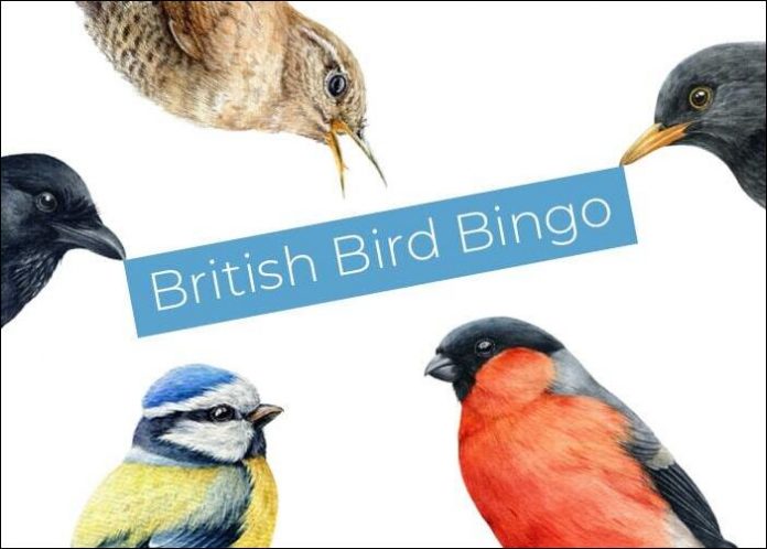 Happy Beaks Bird Bingo