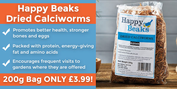 Calciworms