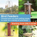 Happy-Beaks-Bird-Feeders-Square-Widget