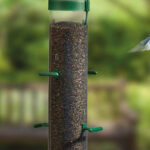 niger-seed-feeder-blog