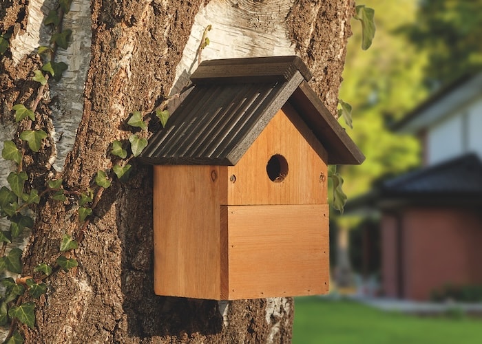 Wooden Happy Beaks nesting box in a tree