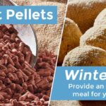 Fat-Suet-balls-banner-winter