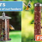 HB_A0332-nut-feeders