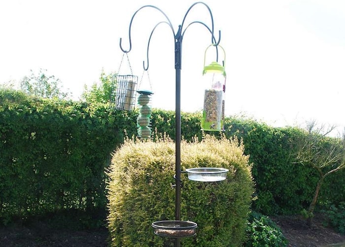 Bird feeders with multiple feeders and dishes