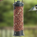 wild-bird-feeder-nuts