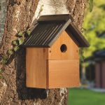 wooden-multi-nest-box-birds