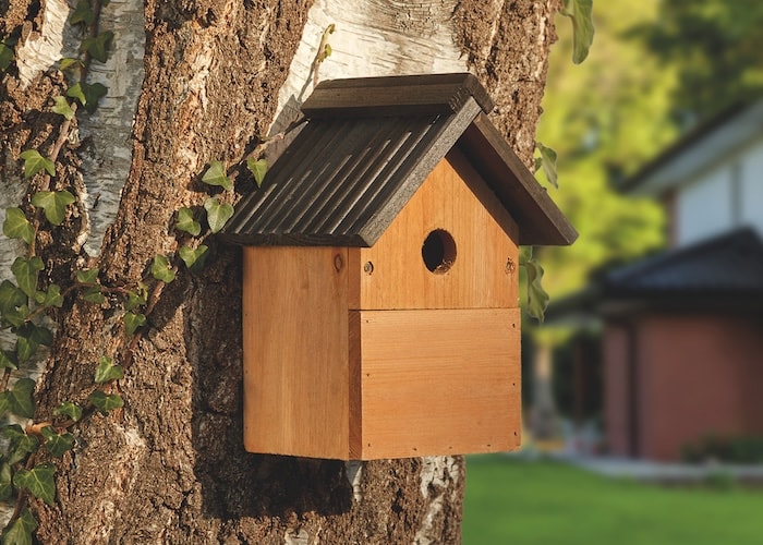 Wooden multi nest box for birds