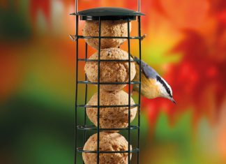 How to attract birds to your feeding station Suet Feeder