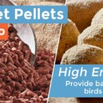 Fat-Suet-balls-banner