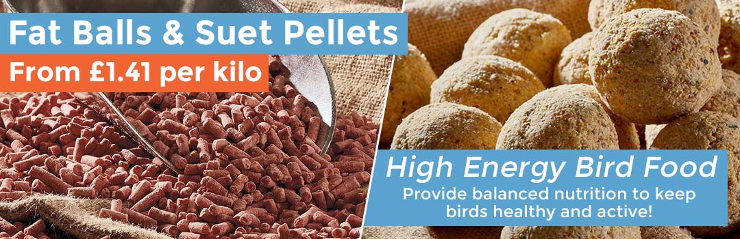 Fat Balls and Suet Pellets