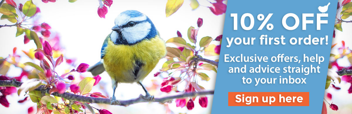 10% off your first order!