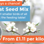 No-Wheat-Seed-Mix-banner