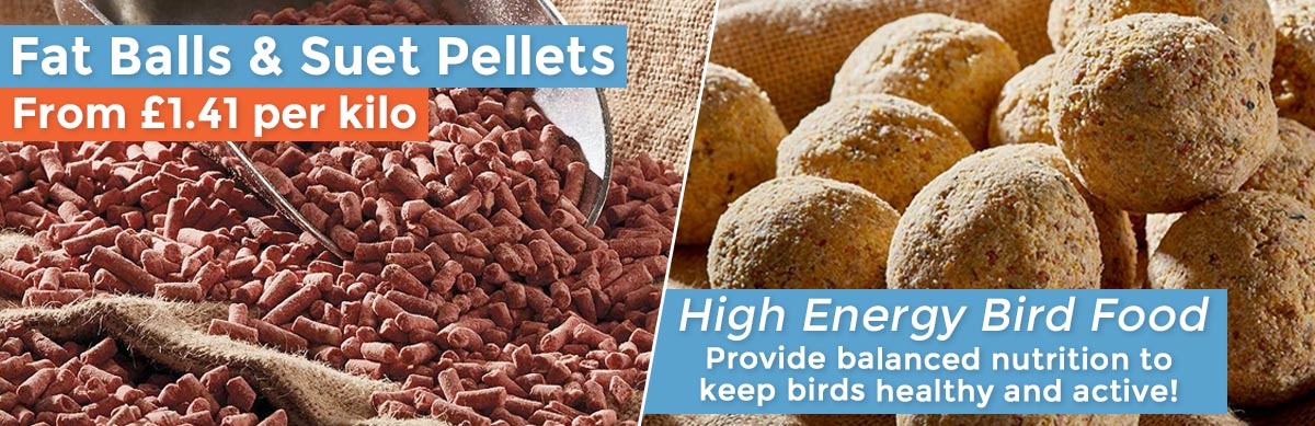 Fat Balls and Suet Pellets