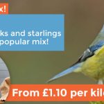 All-Seasons-Mix-banner