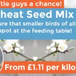No-Wheat-Seed-Mix-banner