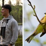 happybeaks-klay-blake-yellowhammer