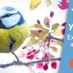 Happy-Beaks-Club-Banner-Discount-optimised