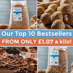 Happy Beaks Top 10 Bird Feeds