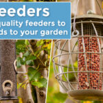 email-new-in-feeders