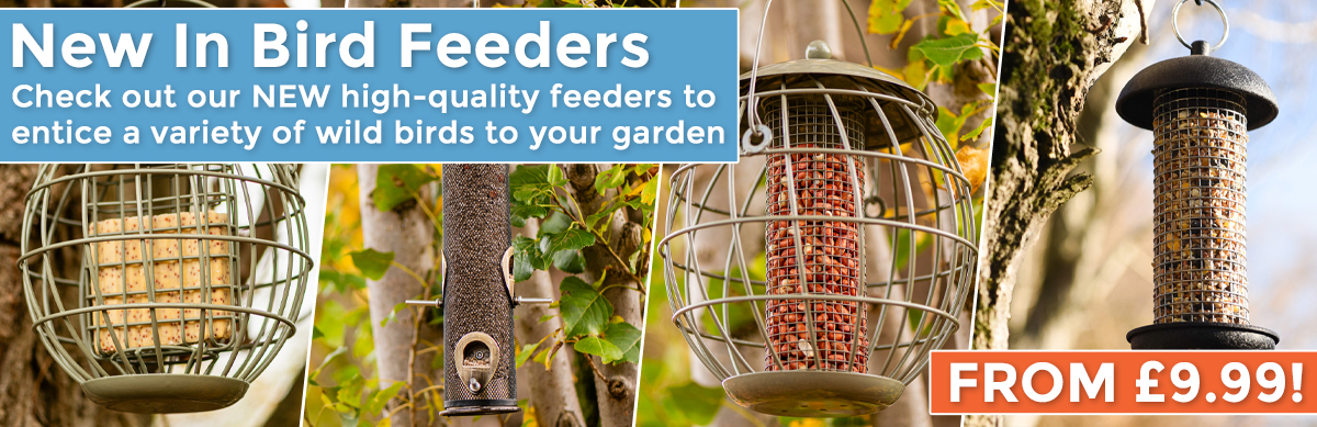 New In Feeders
