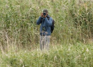 Featured Bird Watcher: Rudy Chodankar Photographer in a blue jacket using a DSLR camera and binoculars in a tall grass field.